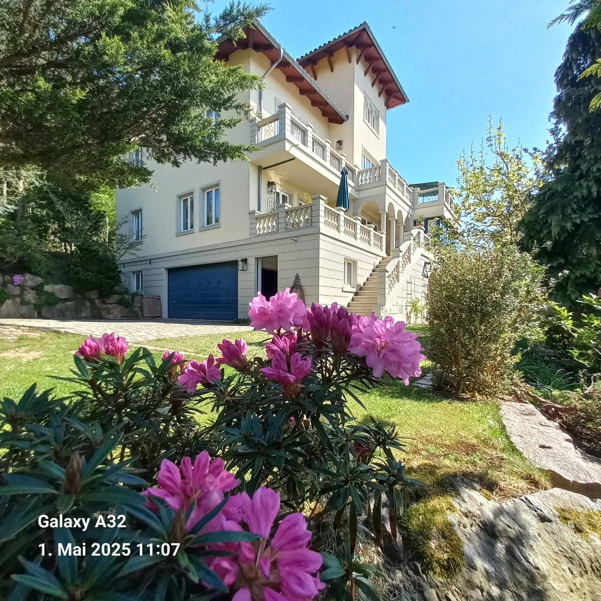 Ferienwohnung Dennstedt Wilkau-Hasslau Exterior photo